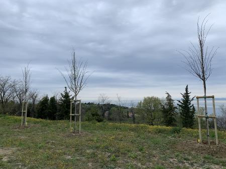 Foto Javno podjetje okolje Piran (4)